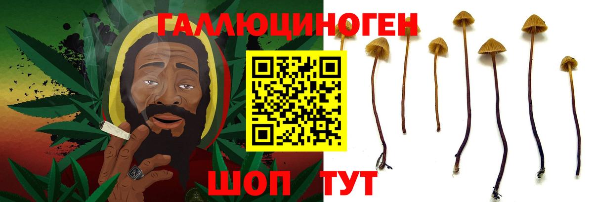 Узловая  Псилоцибиновые грибы ЛСД  Псилоцибиновые грибы MAGIC MUSHROOMS  Вход с VPN 